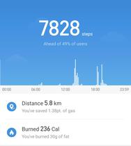 Pulseras cuantificadoras objetivo