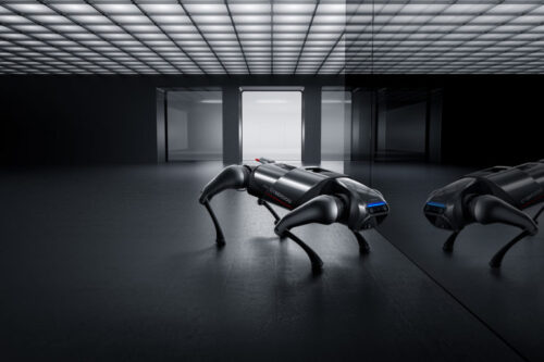 perro robótico de Xiaomi