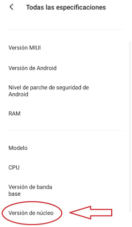 Paso 3 para ingresar al menú secreto de Xiaomi